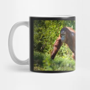 Orangutan in the forest Mug